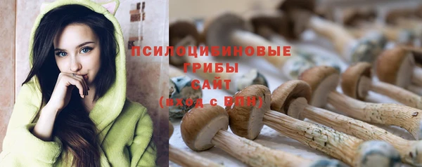 герыч Козельск
