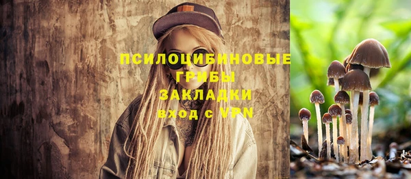 герыч Козельск