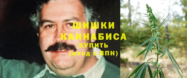 герыч Козельск